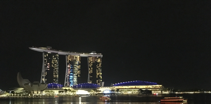 Marina Bay Sands by night